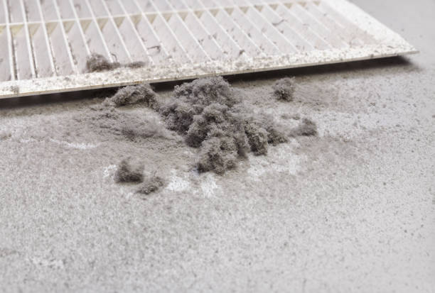  Grandy, NC Airduct Cleaning Pros
