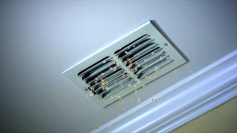 Home Air Vent Cleaning in Grandy, NC